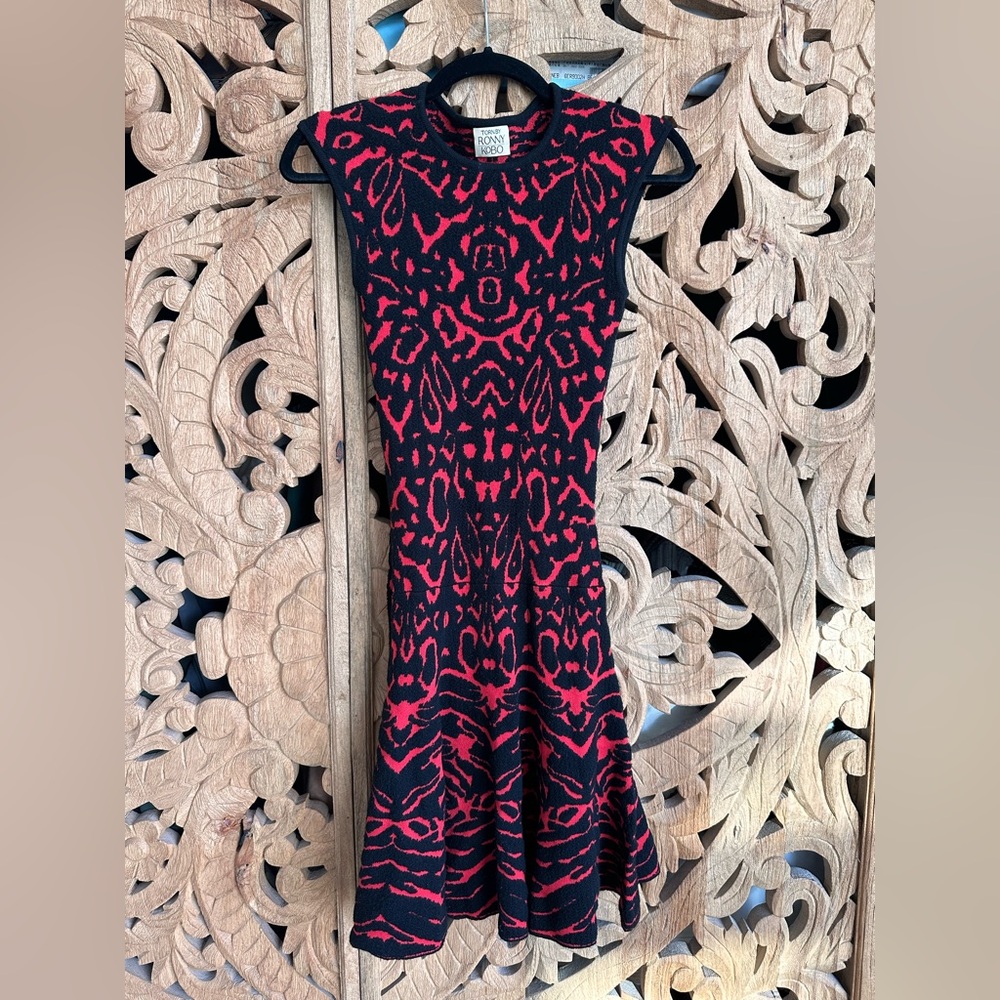 torn by ronny kobo dress